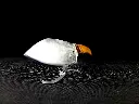 20250313_104103.webp