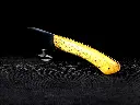 20250313_104125.webp