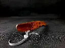 20250327_184823.webp