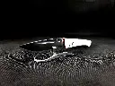 20250403_173658[1].webp