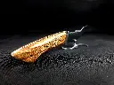 20250330_120511[1].webp