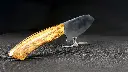 20250625_165239.webp
